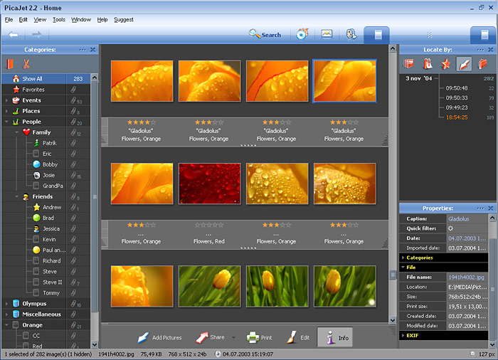 PicaJet FX screenshot